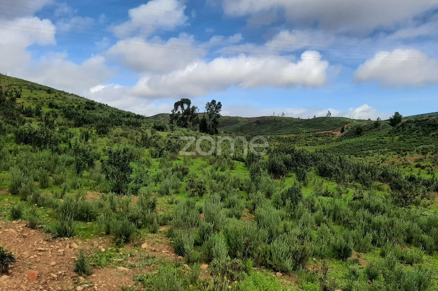  قطعة أرض في Mexilhoeira Grande, Portugal 30000متر مربع رقم 67656