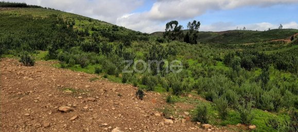  قطعة أرض في Mexilhoeira Grande, Portugal 30000متر مربع رقم 67656 8