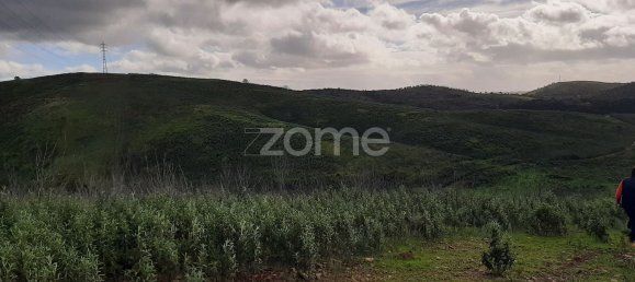 قطعة أرض في Mexilhoeira Grande, Portugal 30000متر مربع رقم 67656 14