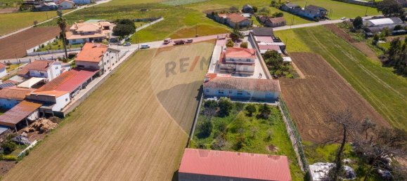 4 bedrooms House in Sosa, Portugal No. 41904 41