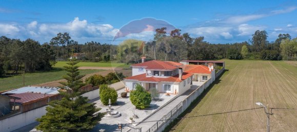 4 bedrooms House in Sosa, Portugal No. 41904 22