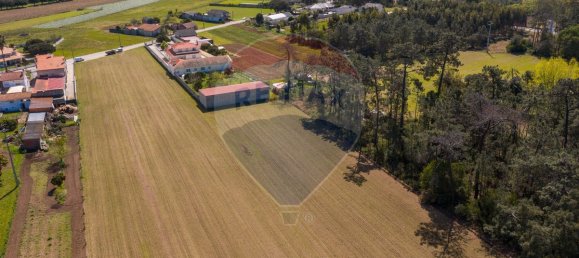 4 bedrooms House in Sosa, Portugal No. 41904 40