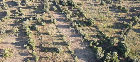 Land in Sao Bartolomeu de Messines, Portugal No. 44810 19