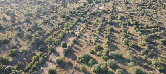 Land in Sao Bartolomeu de Messines, Portugal No. 44810 9