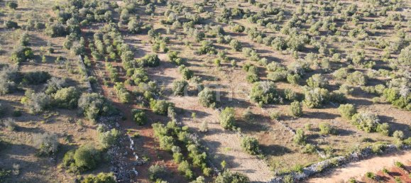 Land in Sao Bartolomeu de Messines, Portugal No. 44810 7