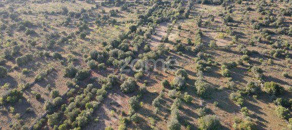 Land in Sao Bartolomeu de Messines, Portugal No. 44810 11