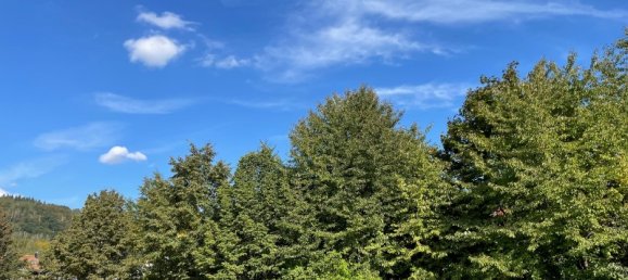 Terreno em Sachsische Schweiz-Osterzgebirge, Germany N.º 193473 8