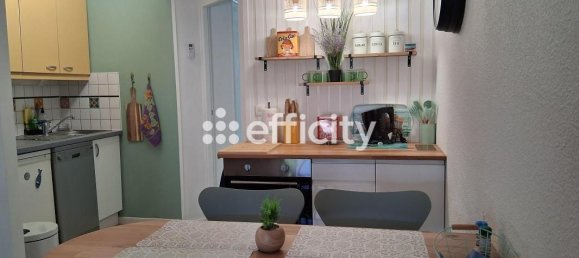 1 غرف نوم شقة في Saint-Cyprien, France رقم 320275 5