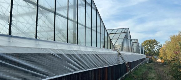 4415m² Commercial property in Verden, Germany No. 167545 5