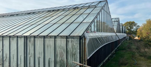 4415m² Commercial property in Verden, Germany No. 167545 4