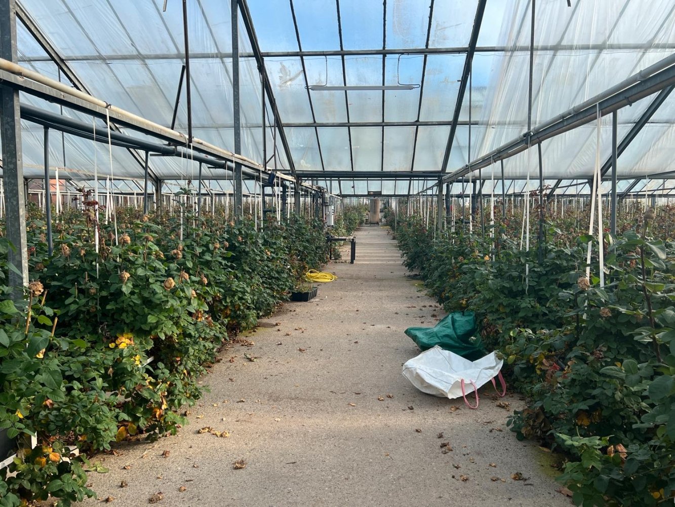 4415m² Commercial property in Verden, Germany No. 167545