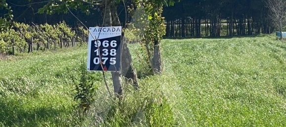 Grundstück in Aveiro, Portugal 3600m², Nr. 89432 7