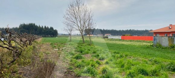 Grundstück in Aveiro, Portugal 3600m², Nr. 89432 6