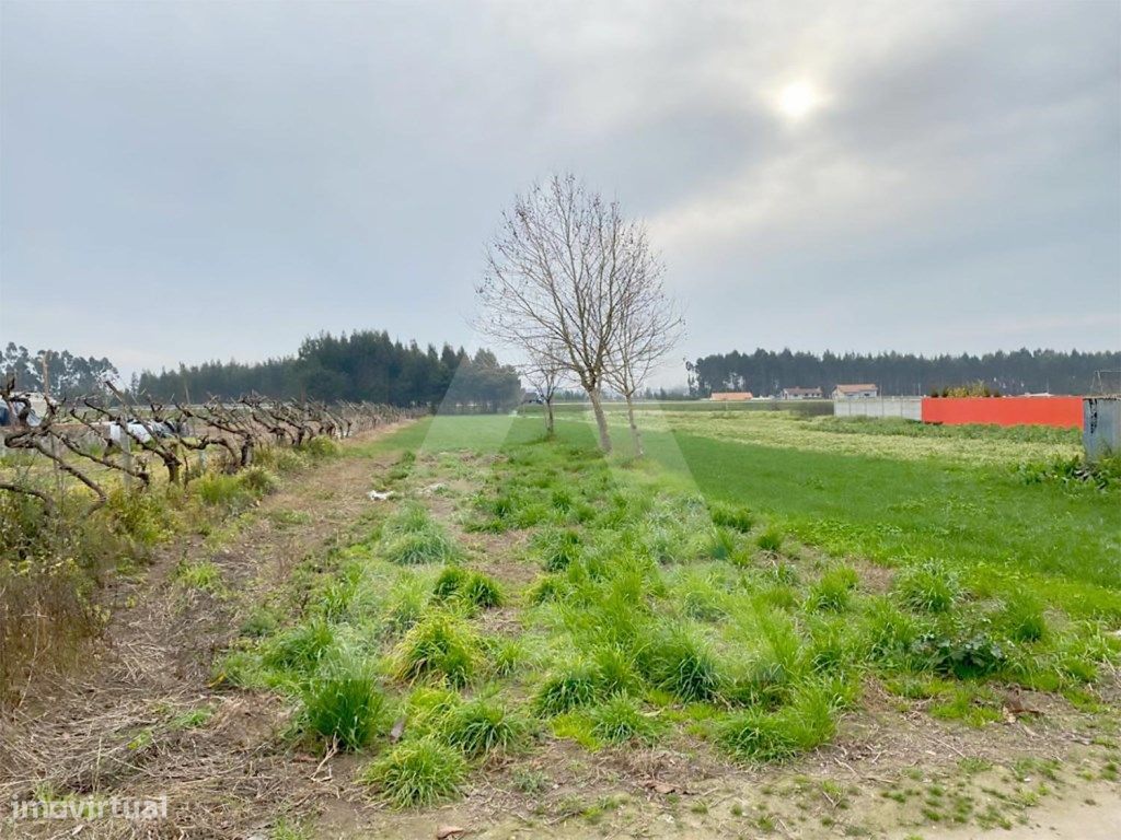 Grundstück in Aveiro, Portugal 3600m², Nr. 89432