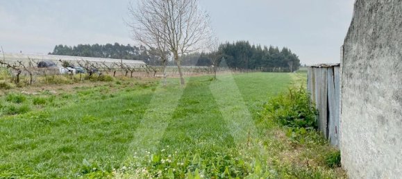 Grundstück in Aveiro, Portugal 3600m², Nr. 89432 4