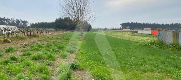 Grundstück in Aveiro, Portugal 3600m², Nr. 89432 5