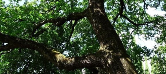 18غرفة منزل في San Miniato, Italy رقم 141307 45