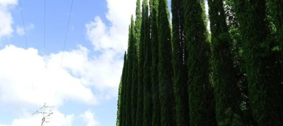 18غرفة منزل في San Miniato, Italy رقم 141307 43