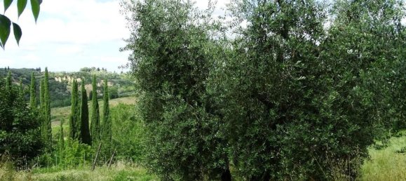 18غرفة منزل في San Miniato, Italy رقم 141307 37