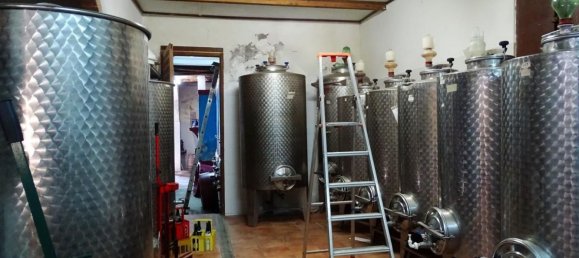 18غرفة منزل في San Miniato, Italy رقم 141307 9