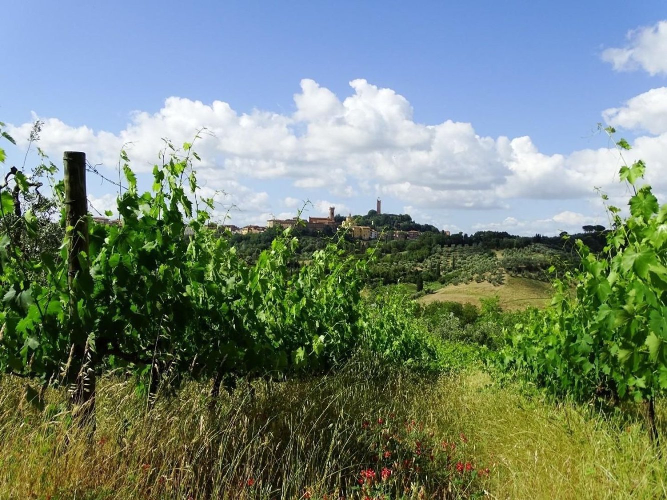 18غرفة منزل في San Miniato, Italy رقم 141307