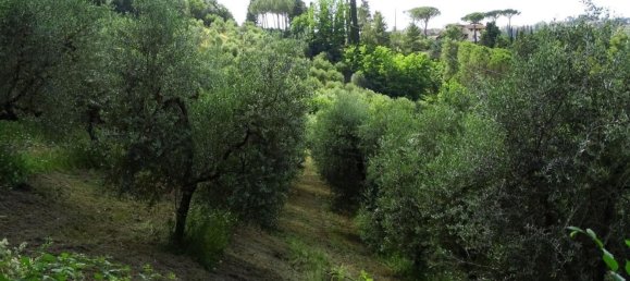 18غرفة منزل في San Miniato, Italy رقم 141307 42