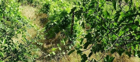 18غرفة منزل في San Miniato, Italy رقم 141307 39