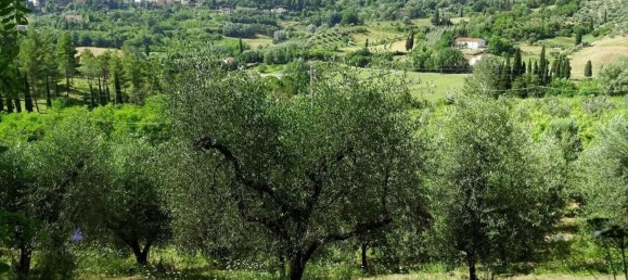 18غرفة منزل في San Miniato, Italy رقم 141307 41