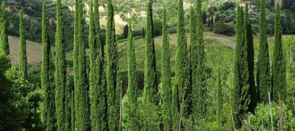 18غرفة منزل في San Miniato, Italy رقم 141307 36