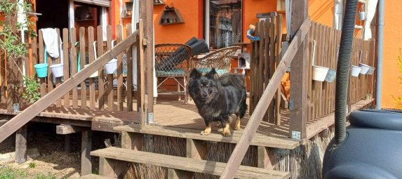 Quinta de 9 divisões em Elbe-Elster, Germany N.º 84870 7