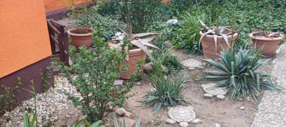 Quinta de 9 divisões em Elbe-Elster, Germany N.º 84870 10