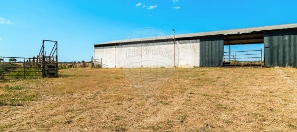 4 bedrooms House in Evora, Portugal No. 64514 12