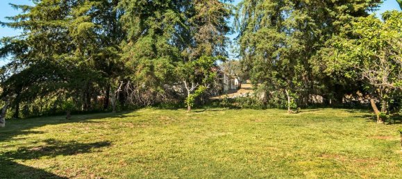 4 bedrooms House in Evora, Portugal No. 64514 5