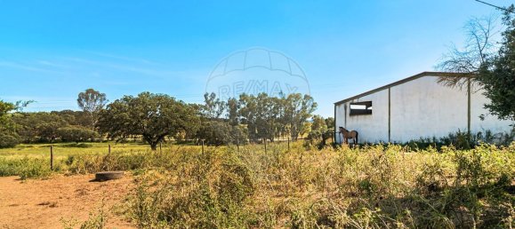 4 bedrooms House in Evora, Portugal No. 64514 3