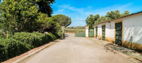 4 bedrooms House in Evora, Portugal No. 64514 15