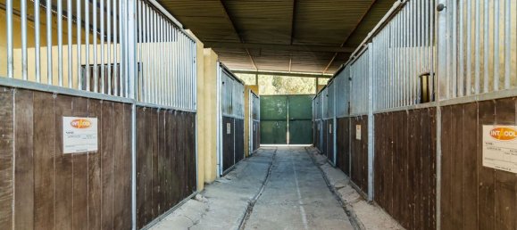 4 bedrooms House in Evora, Portugal No. 64514 48