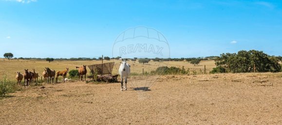 4 bedrooms House in Evora, Portugal No. 64514 7