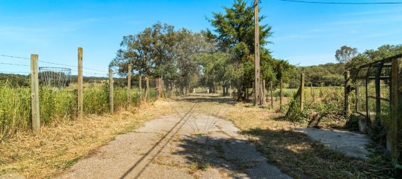 4 bedrooms House in Evora, Portugal No. 64514 6