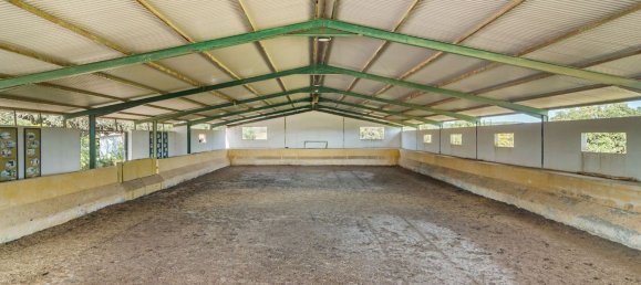 4 bedrooms House in Evora, Portugal No. 64514 16