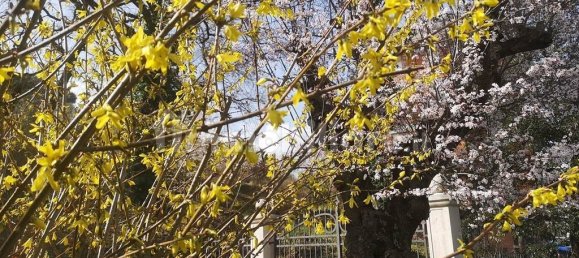 7 chambres Villa à Sinalunga, Italy No. 234582 2