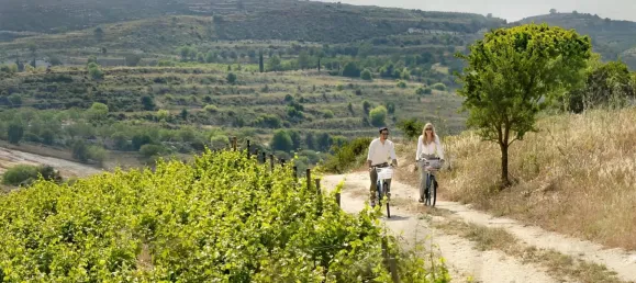 4 bedrooms Villa in Neu-Ulm, Germany No. 177375 8