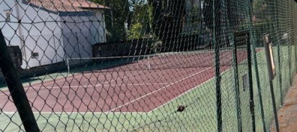 Apartamento de 1 dormitorio en Biarritz, France No. 291930 2