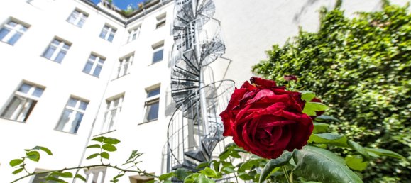 6-Zimmer Gebäude in Steglitz, Germany, Nr. 83645 7