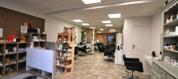 Gewerbliche Immobilie in Briare, France 102m², Nr. 53231 14