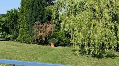 Terrain à Harmannsdorf, Austria No. 151507