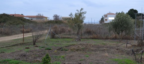 Отель, гостиница 1000м² в Полийирос, Халкидики, Центральная Македония, Македония и Фракия, Греция № 56245 3