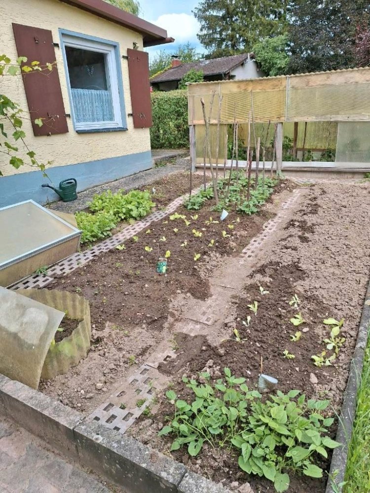 Terreno en Weiden in der Oberpfalz, Germany No. 217734