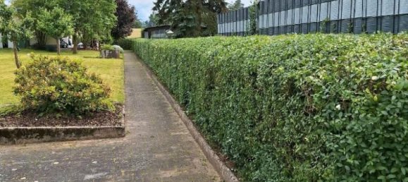 Terreno en Weiden in der Oberpfalz, Germany No. 217734 3