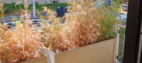 1 غرف نوم شقة في Bonn, Germany رقم 263660 10