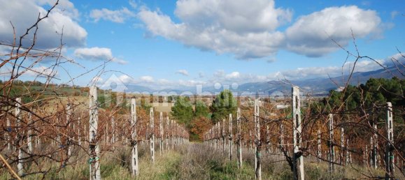 4 غرف نوم منزل في Castel Ritaldi, Italy رقم 71039 18